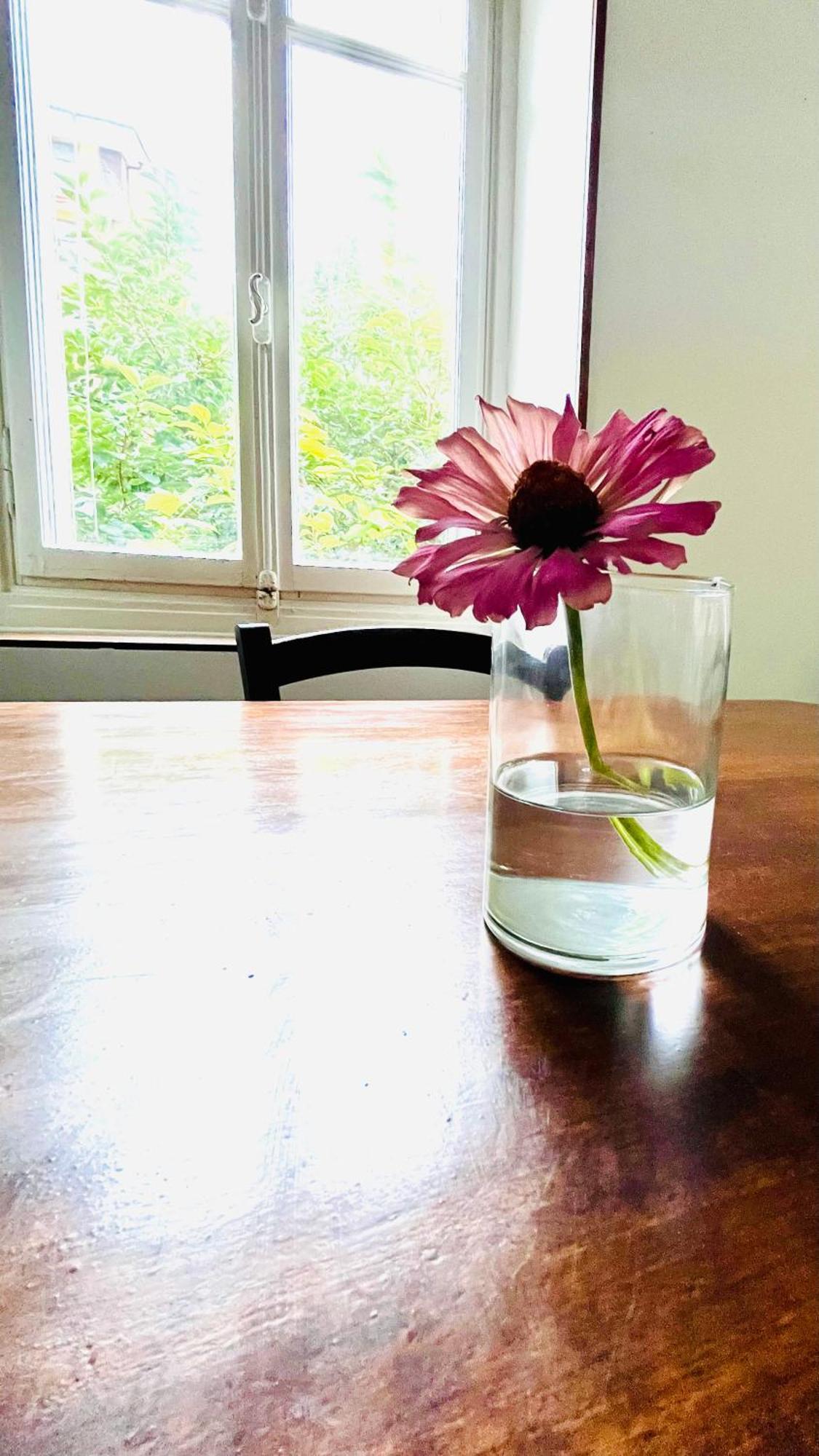 ドモドッソラAntica Casa Storica Con Giardinoアパートメント エクステリア 写真